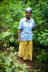 ACDI/VOCA USAID Liberia successful pigeon pea farmer