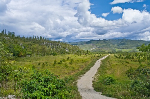 ACDI/VOCA USAID SAREF International New Guinea GRAND