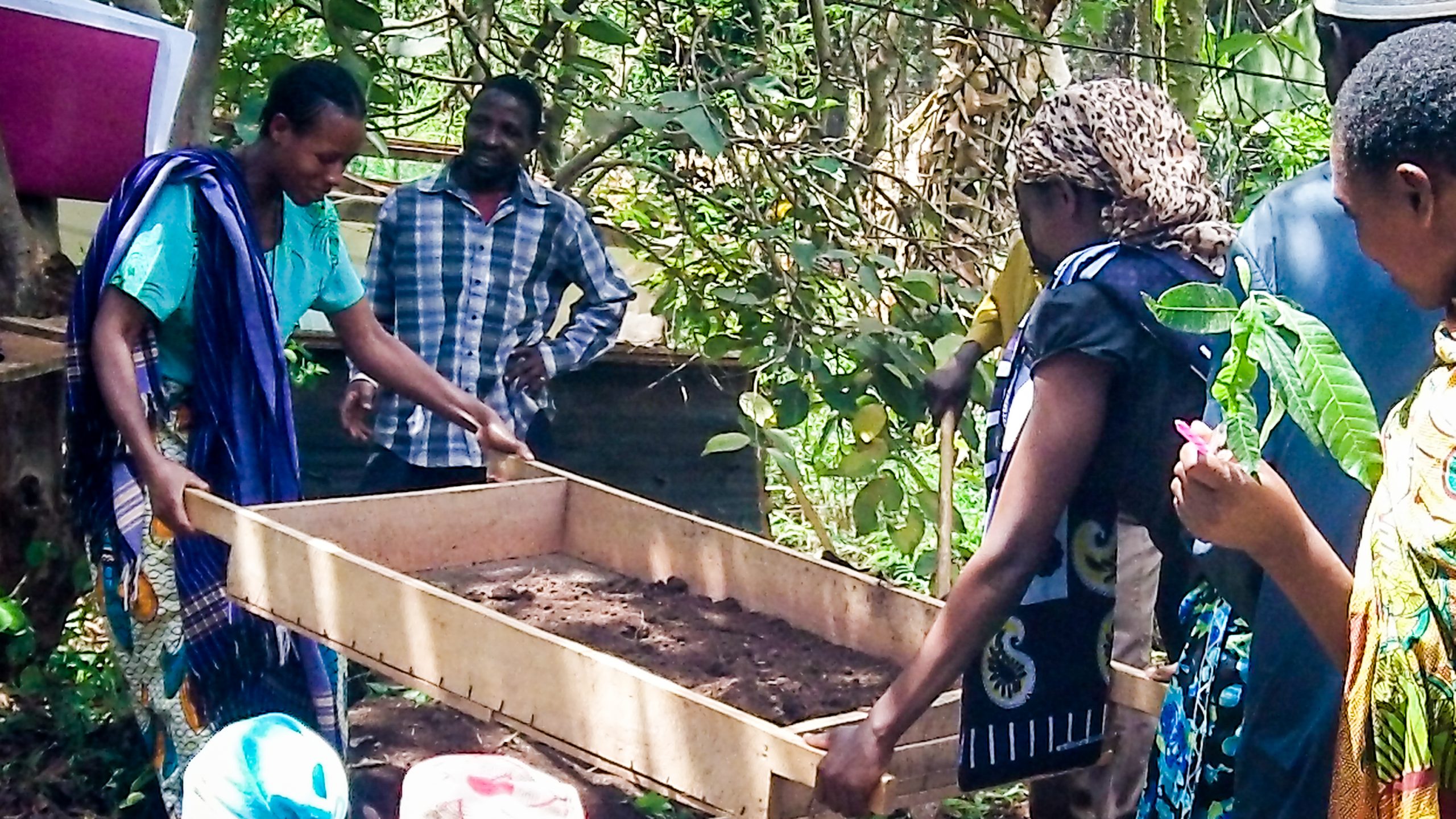 ACDI/VOCA co-op member learning about health soil