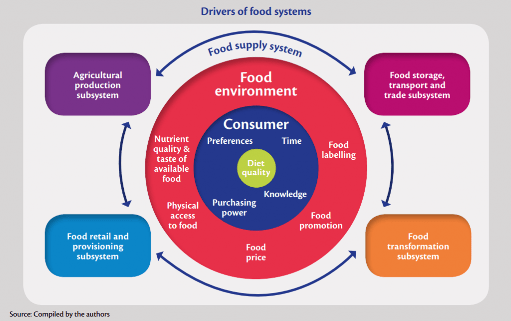 ACDIVOCA Food Systems Graphic