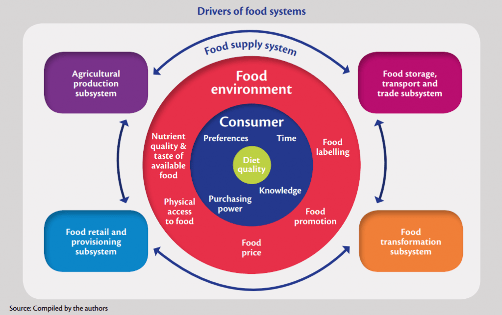 Balancing the Systems: Making Food and Market Systems Work for Nutrition - ACDI/VOCA