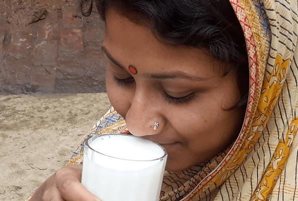 ACDI/VOCA Bangladesh Livestock Production Improved Nutrition milk
