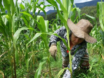 ACDI/VOCA Colombia Emprende Pacifico