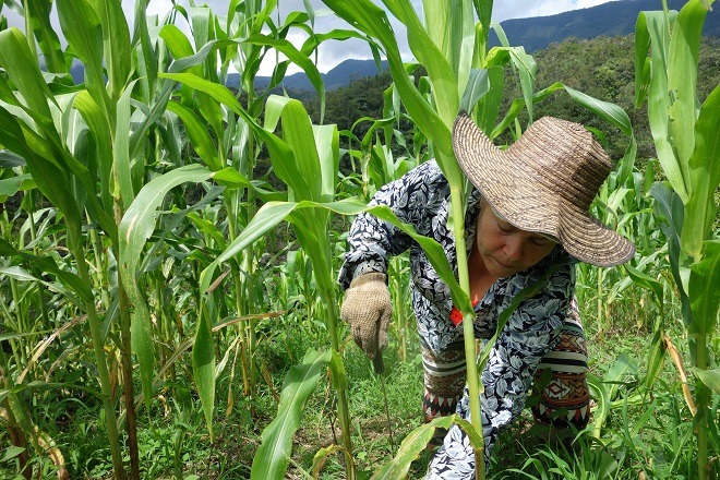 ACDI/VOCA Colombia Emprende Pacifico