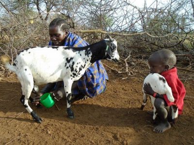 ACDI/VOCA Uganda RWANU woman with goats