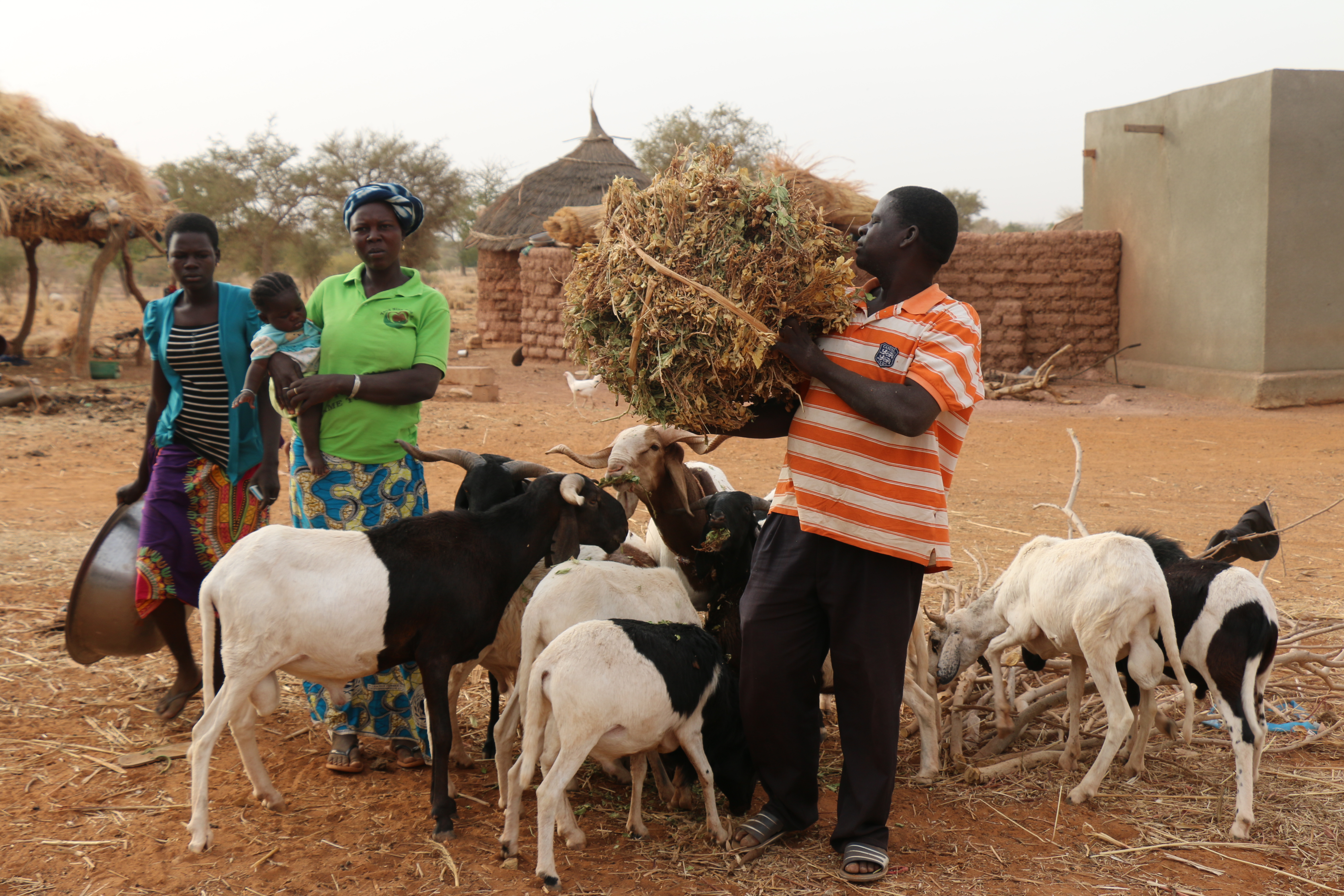 ACDI/VOCA Burkina Faso Victory Against Malnutrition womens group Rasmata Moise 2