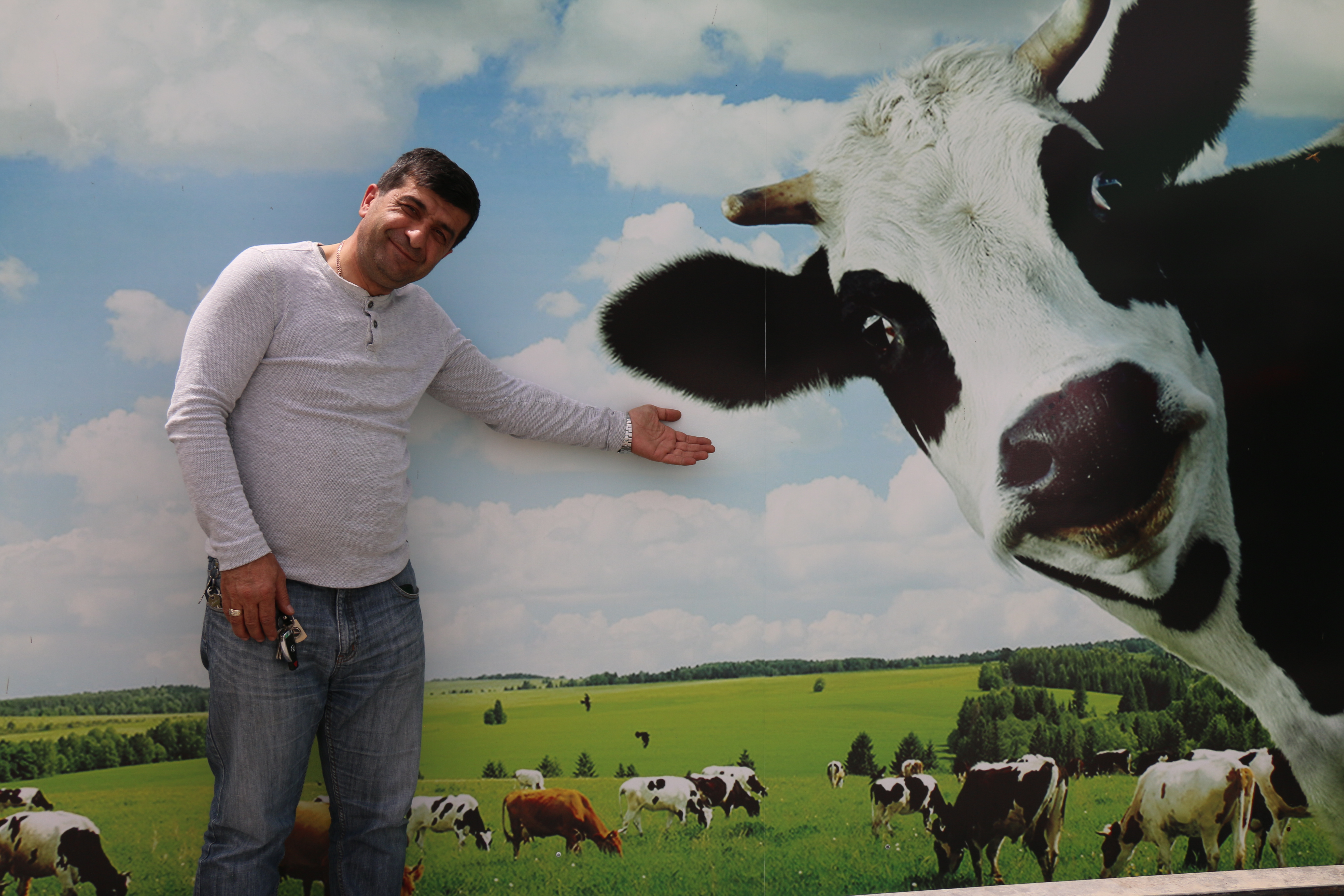 Georgian man smiling by artwork of cow