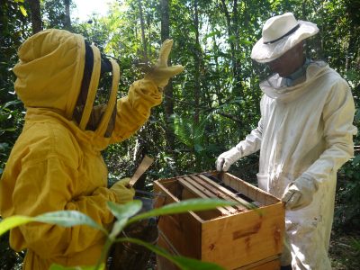 Beekeepers in Colombia