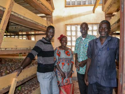 Family farming vegetables in Africa