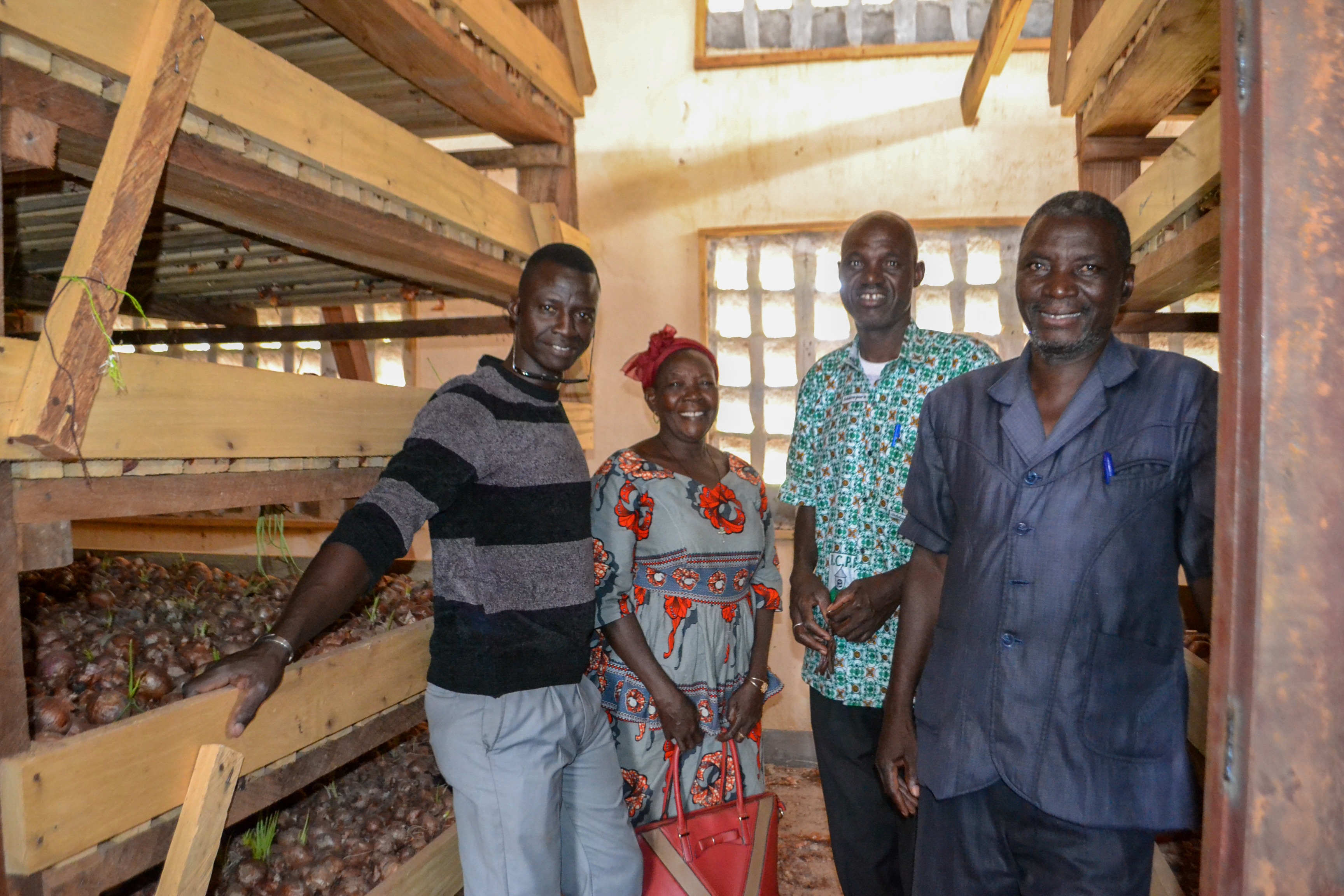 Family farming vegetables in Africa