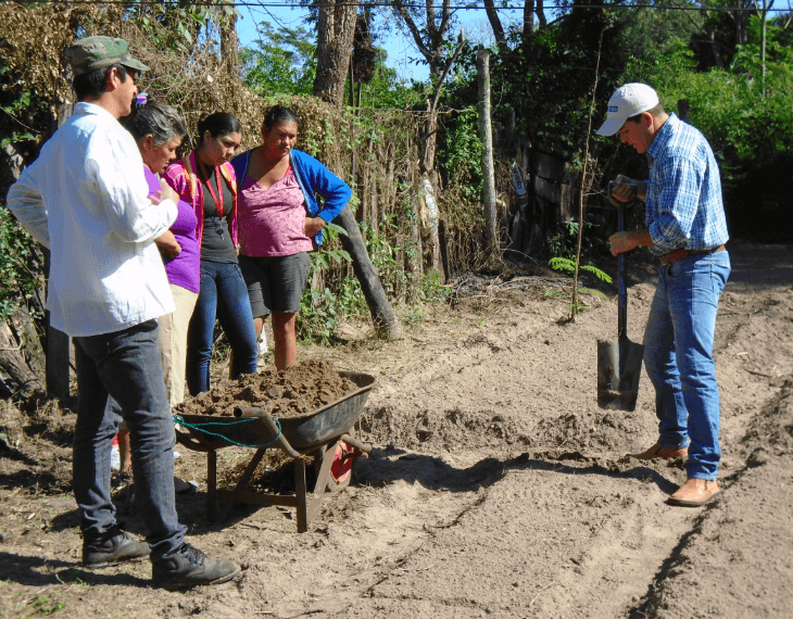 People working in field outside