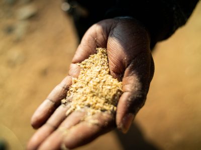 hand with grain