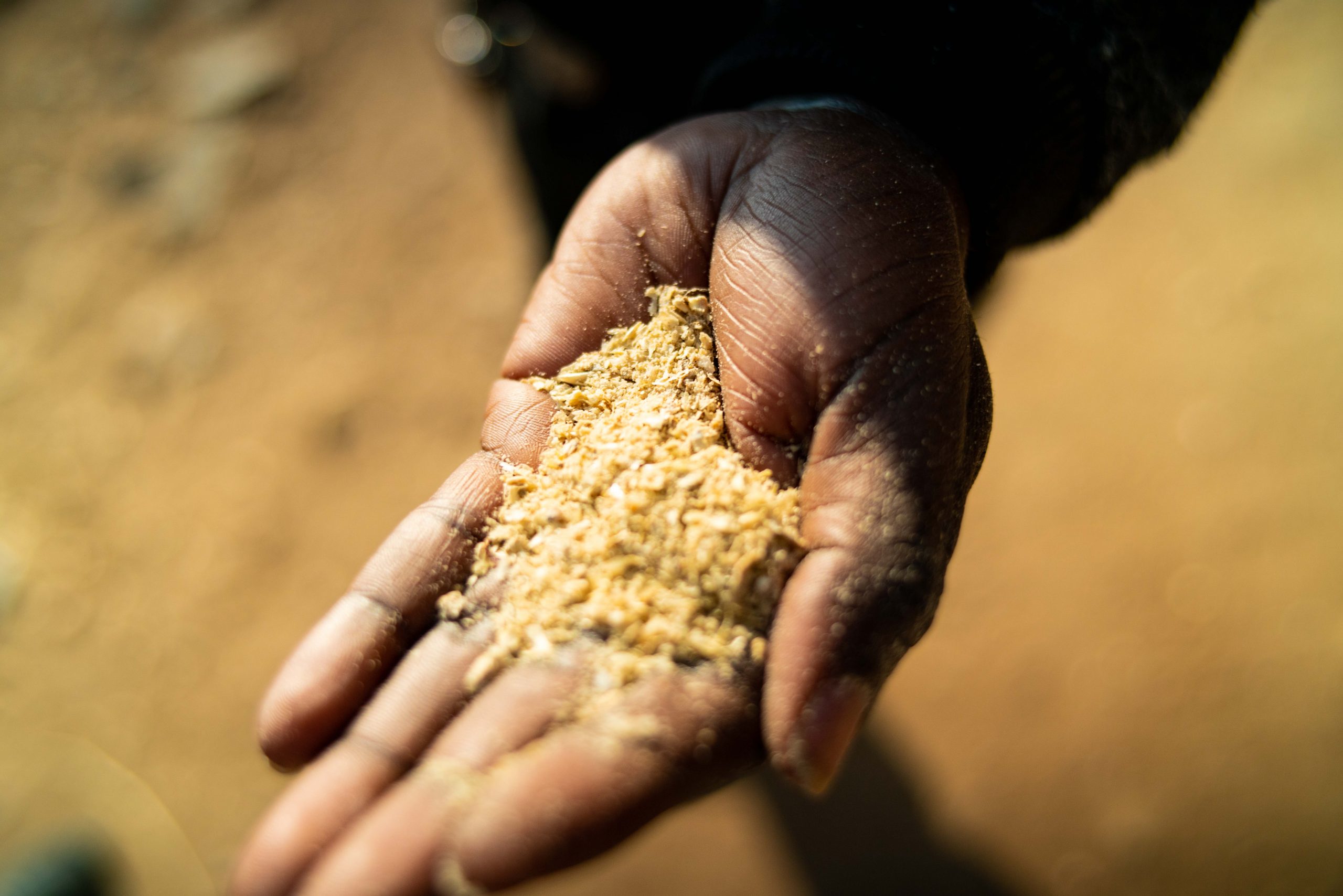 hand with grain