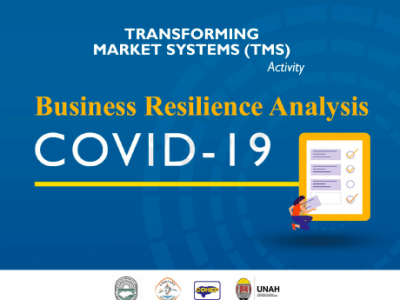 Honduras-TMS-Analysis of Business Resilience to COVID-19