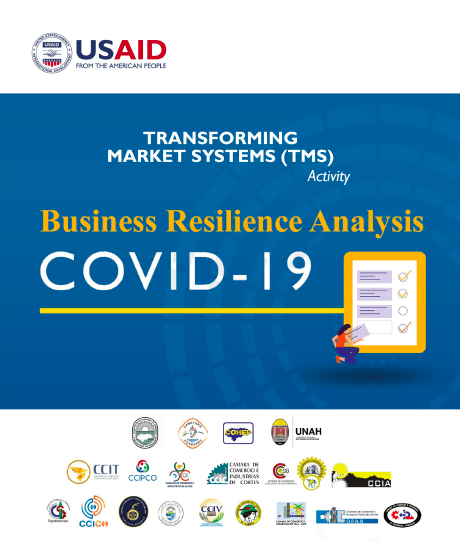 Honduras-TMS-Analysis of Business Resilience to COVID-19