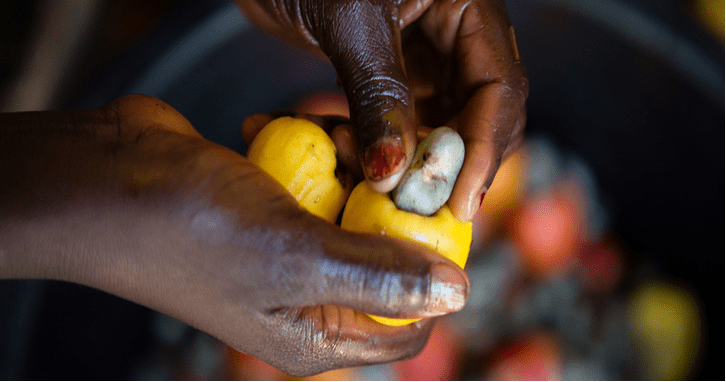 Guinea_SADA_hands with cashew