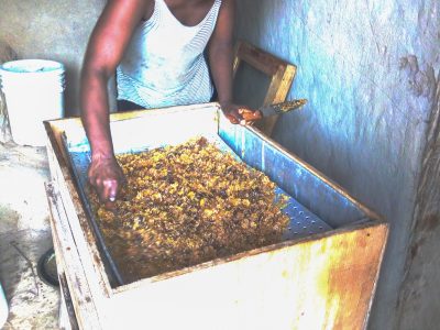 Liberia_FIFES_beekeeping story