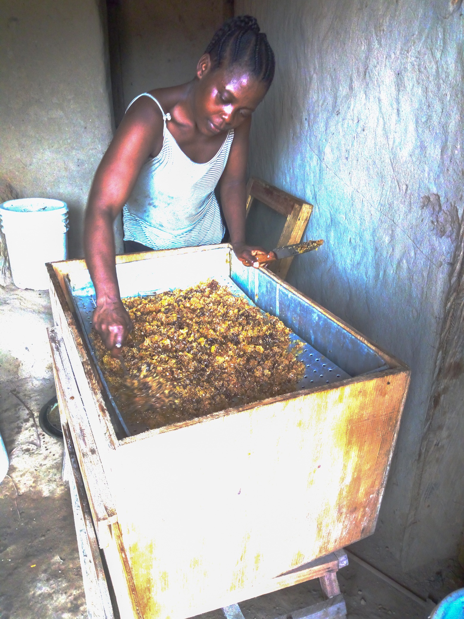 Liberia_FIFES_beekeeping story