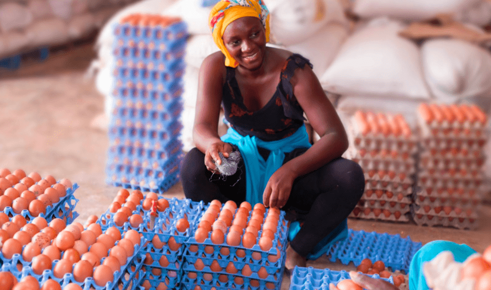 Ghana_GPP_Egg Glut Story