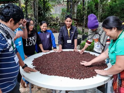 PhilCAFE-people sorting coffee