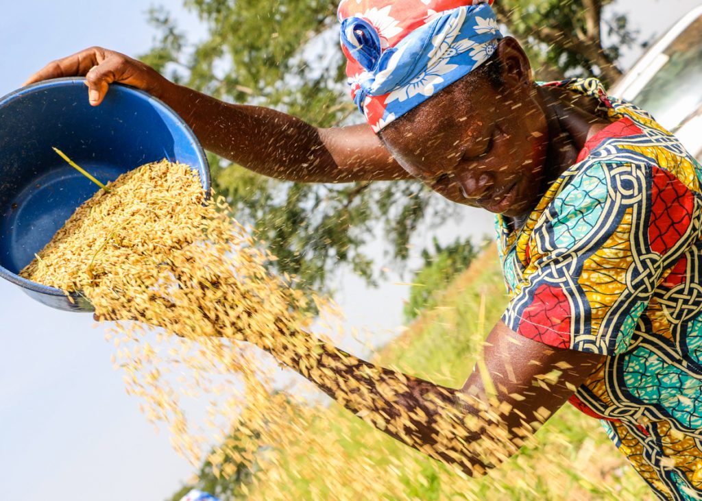 A Decade of Advancing Crop Value Chains with Feed the Future in Ghana