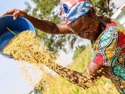 Ghana_ADVANCE_woman winnowing rice