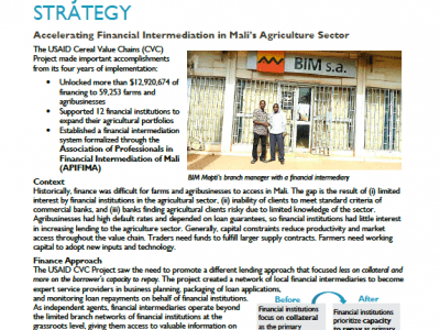 Mali-CVC-Access to Finance Technical Brief screenshot