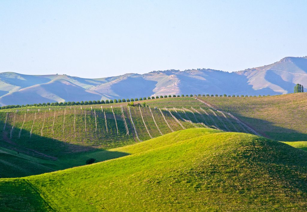 Uzbekistan-ADA-field scene
