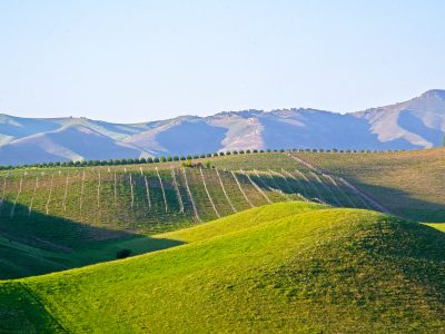 Uzbekistan-ADA-field scene