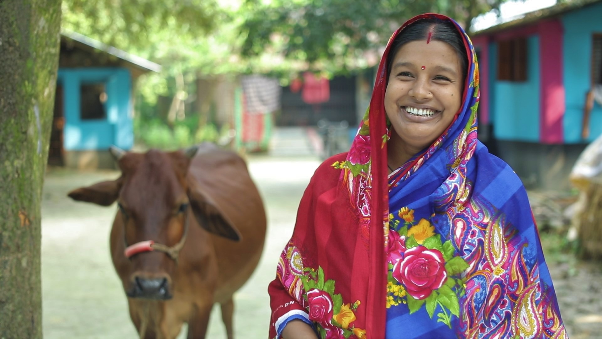 Bangladesh-LPIN-fodder entrepreneur