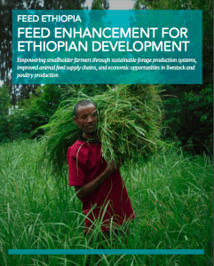 Feeding Brochure, Feeding Development