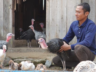 Laos_Microenterprise_turkey success story