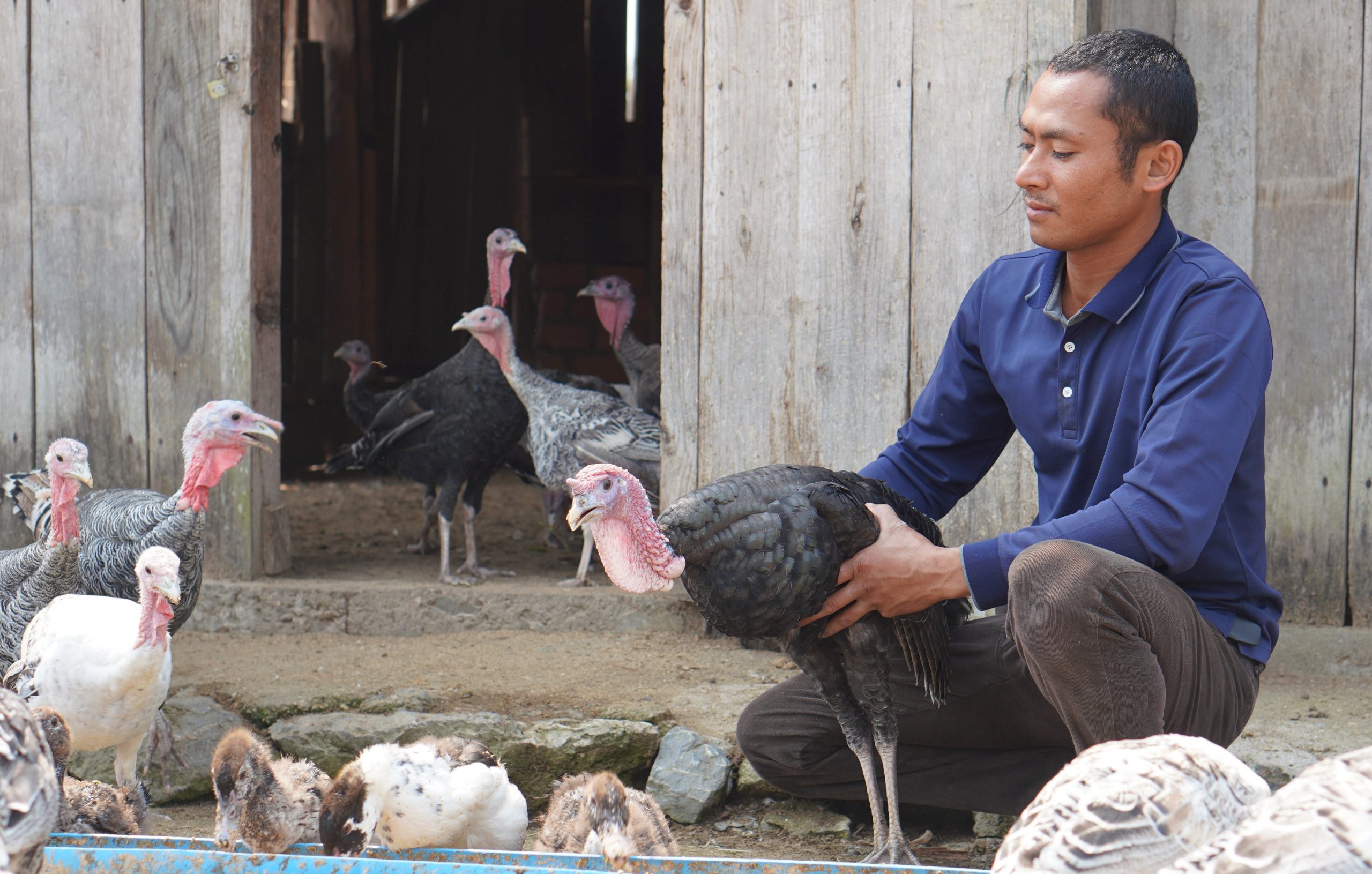 Laos_Microenterprise_turkey success story