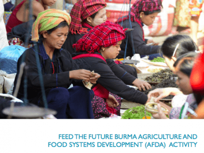 Burma-AFDA-Market Systems Diagnostic cover screenshot