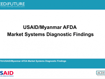 Burma-AFDA-Diagnostic finding ppt cover screenshot