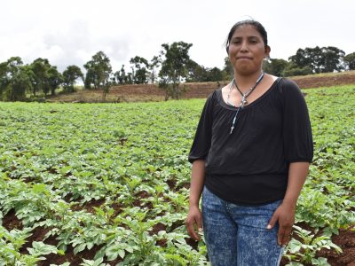 Honduras_TMS-potato Farmer story