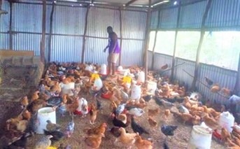 Kenya_LMS_poultry farmer