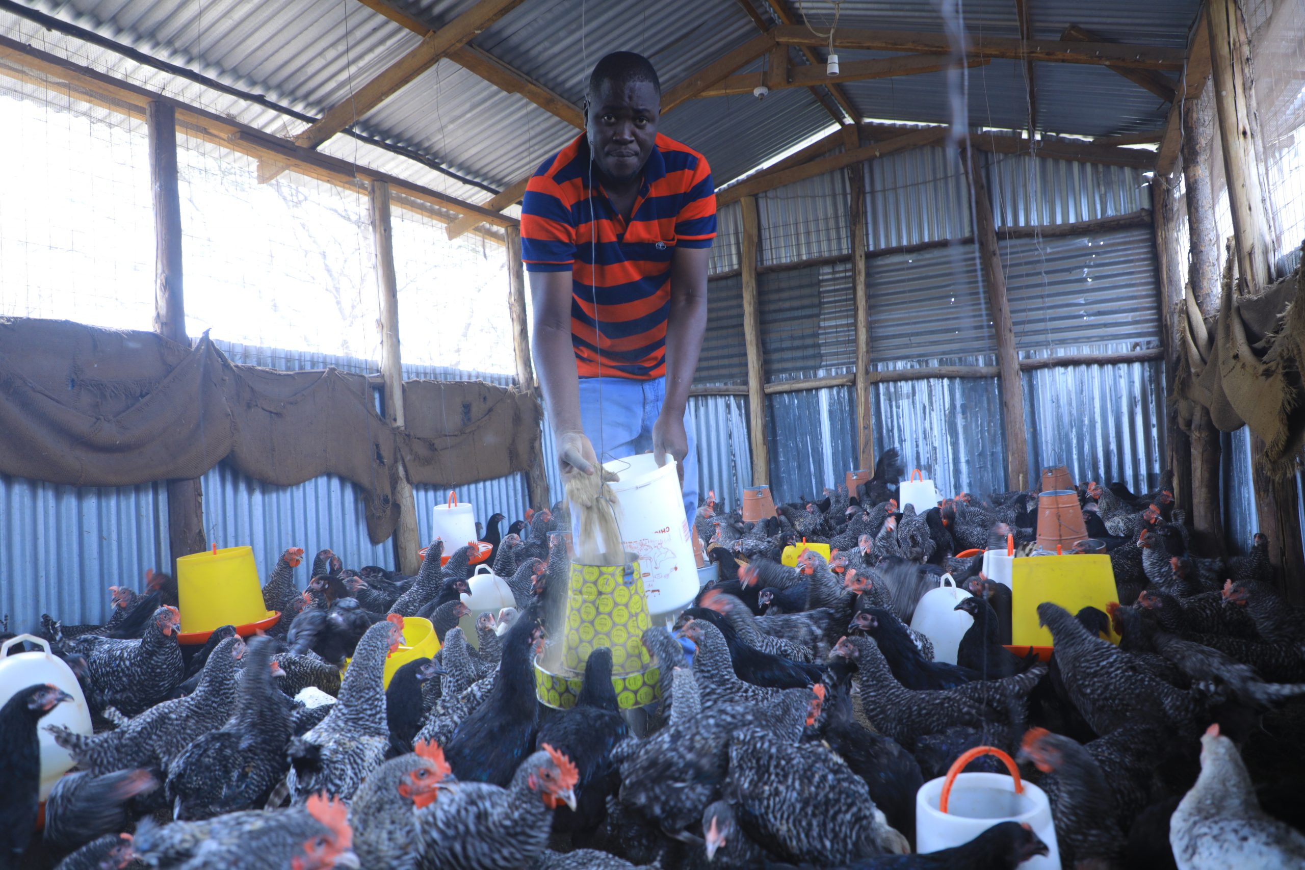 Kenya-LMS-Raphael-Ewoi-poultry farmer