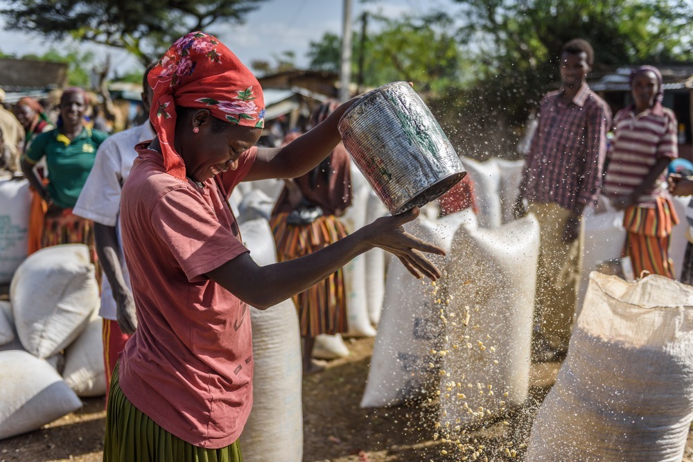 Ethiopia Alliance to Accelerate Agricultural Growth Activity_stock photo