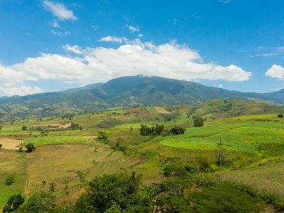 Philippines_PhilCAFE-Mindanao stock