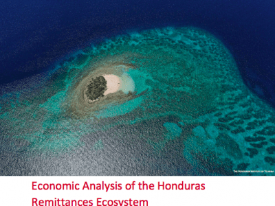 Honduras-TMS-Remittances Report screenshot