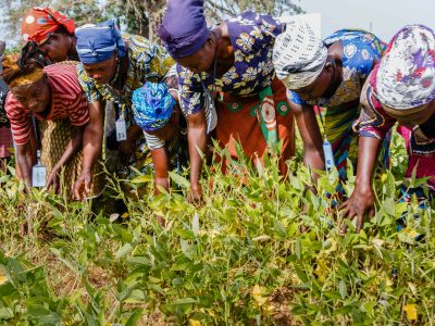 Ghana women in field