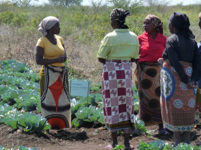 Mozambique-RESINA-women in field