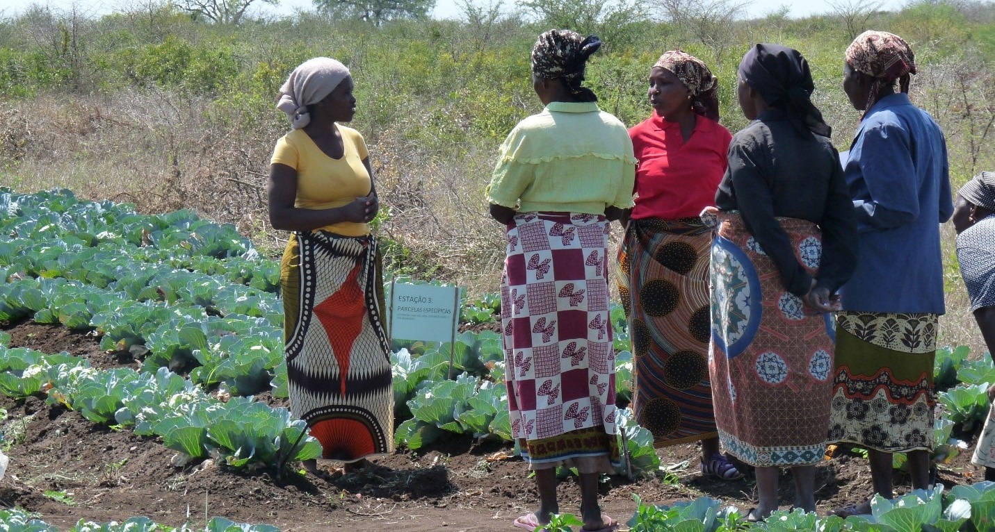 Mozambique-RESINA-women in field