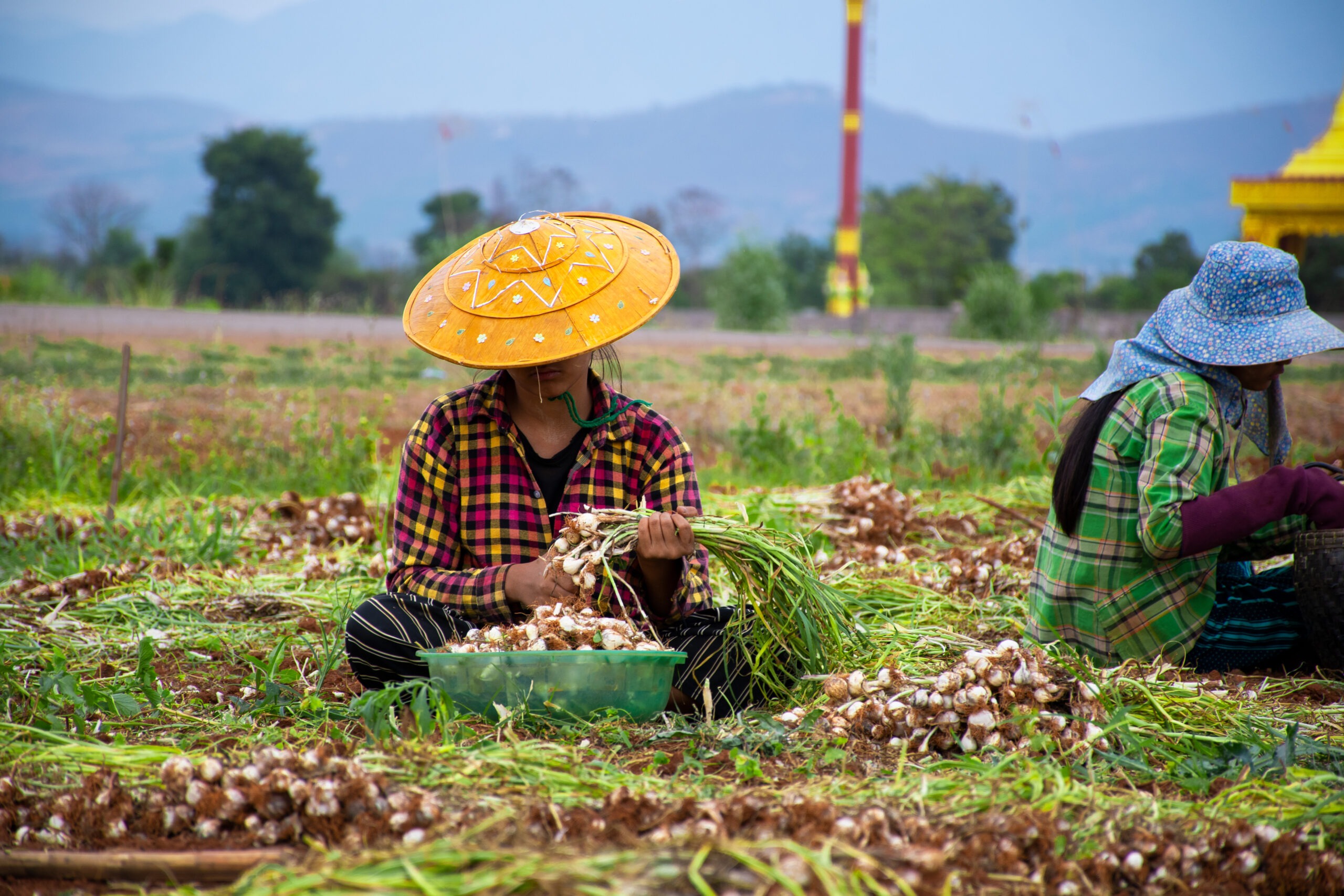 Homepage - ACDI/VOCA